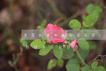 有貸款逾期能出國么(網(wǎng)貸逾期影響出國簽證嗎)