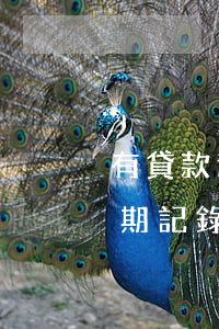 有貸款逾期記錄可以辦信用卡嗎-有貸款逾期記錄可以辦信用卡嗎知乎