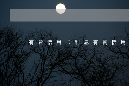 有贊信用卡利息(有贊信用卡利息)