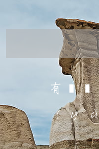 有贍養(yǎng)義務有繼承權嗎(有贍養(yǎng)義務有繼承權嗎)