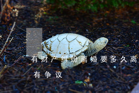有财产纠纷离婚要多久(离婚后多久财产不得有争议)