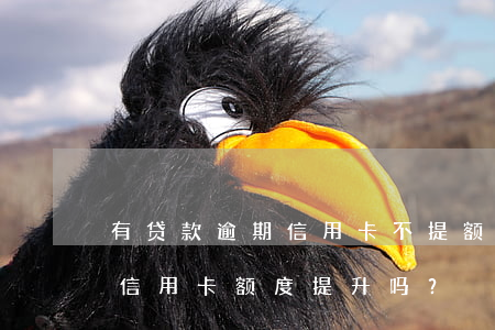 有贷款逾期信用卡不提额吗，逾期还款会影响信用卡额度提升吗？