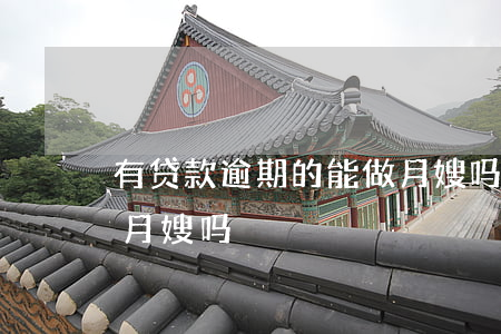 有贷款逾期的能做月嫂吗(有贷款逾期的能做月嫂吗)