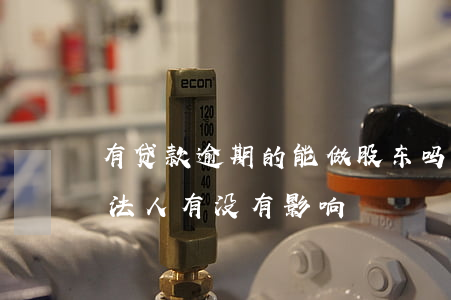 有贷款逾期的能做股东吗(公司贷款逾期了对法人有没有影响)
