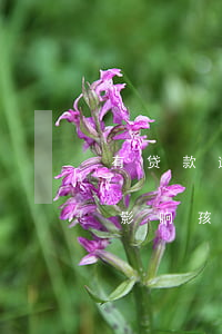 有贷款逾期能上大学吗(网贷逾期不还会不会影响孩子上大学)