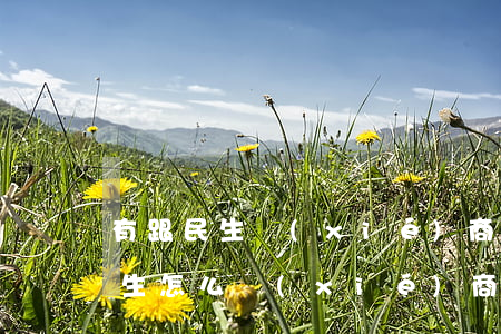 有跟民生協(xié)商還款成功的么-民生怎么協(xié)商還款
