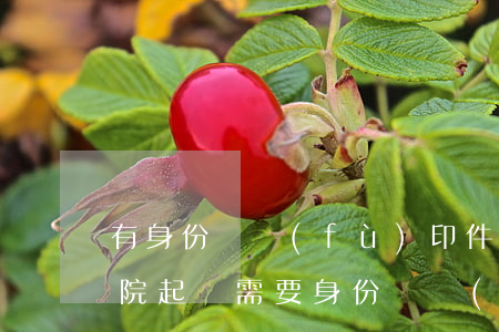 有身份證復(fù)印件可以提起訴訟嗎(法院起訴需要身份證復(fù)印件嗎)