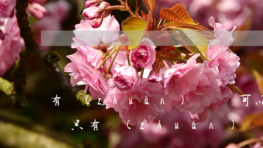 有轉(zhuǎn)賬記錄可以到法院起訴嗎(只有轉(zhuǎn)賬記錄法院會受理嗎)
