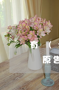 有轉(zhuǎn)賬記錄可以向法院起訴嗎(原告以轉(zhuǎn)賬記錄起訴我)