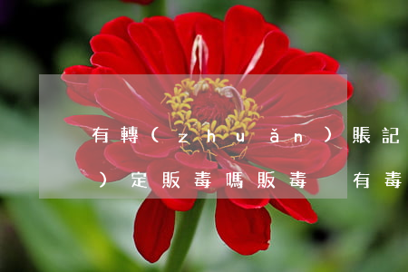 有轉(zhuǎn)賬記錄可以認(rèn)定販毒嗎(販毒沒有毒品只有轉(zhuǎn)賬記錄)