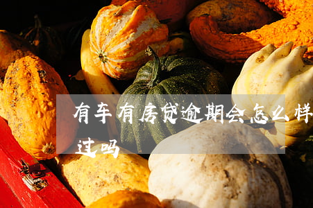 有车有房贷逾期会怎么样(有过逾期车贷能做过吗)