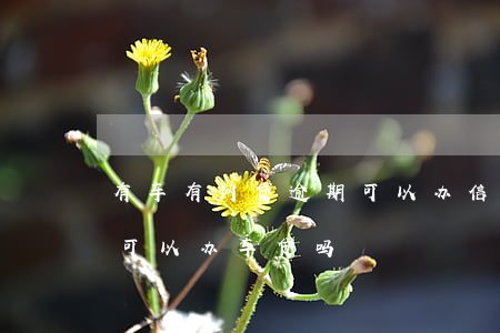 有车有网贷逾期可以办信用卡吗(有网贷逾期可以办车贷吗)
