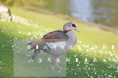 有辦法消除信用卡逾期記錄嗎-個(gè)人信用逾期記錄怎么消除