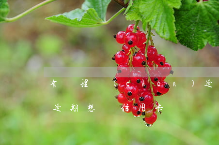 有辦理產(chǎn)逾期信用卡的嗎-有逾期想辦信用卡
