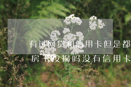 有过网贷和信用卡但是都没有逾期过可以买房子按揭吗（没有信用卡但是有网贷逾期）