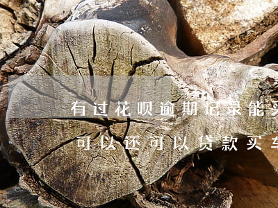 有过花呗逾期记录能买车么(有花呗逾期记录可以还可以贷款买车吗)
