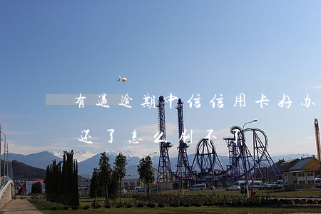 有过逾期中信信用卡好办吗(中信信用卡逾期还了怎么刷不了)