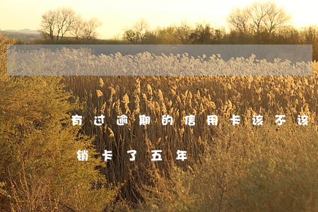 有过逾期的信用卡该不该销卡（信用卡逾期但销卡了五年）