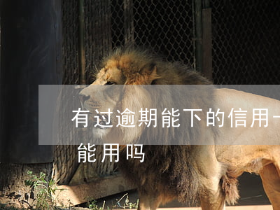 有过逾期能下的信用卡(有贷款逾期信用卡还能用吗)