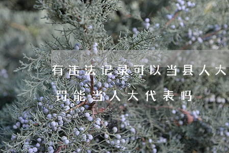 有违法记录可以当县人大代表吗(受过行政处罚能当人大代表吗)