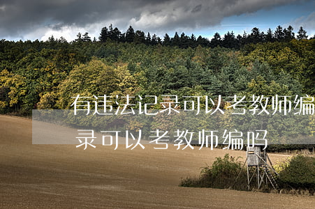 有违法记录可以考教师编制吗(有行政处罚记录可以考教师编吗)