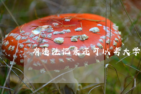 有违法记录还可以考大学吗