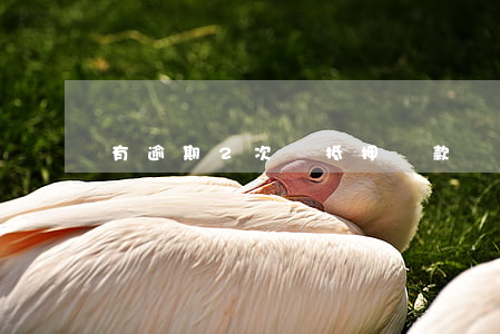 有逾期2次辦抵押貸款