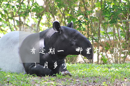 有逾期一萬哪里能貸款(一萬逾期一個(gè)月多少錢)