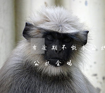 有逾期不能办公积金贷款(银行贷款逾期能提公积金吗)