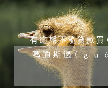 有逾期不能貸款買(mǎi)車(chē)嗎(逾期過(guò)可以貸款買(mǎi)車(chē)嗎)