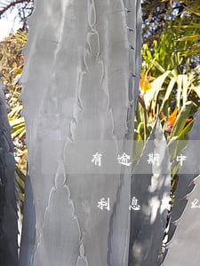 有逾期中信信用卡好下嗎?（中信信用卡逾期后利息高么）