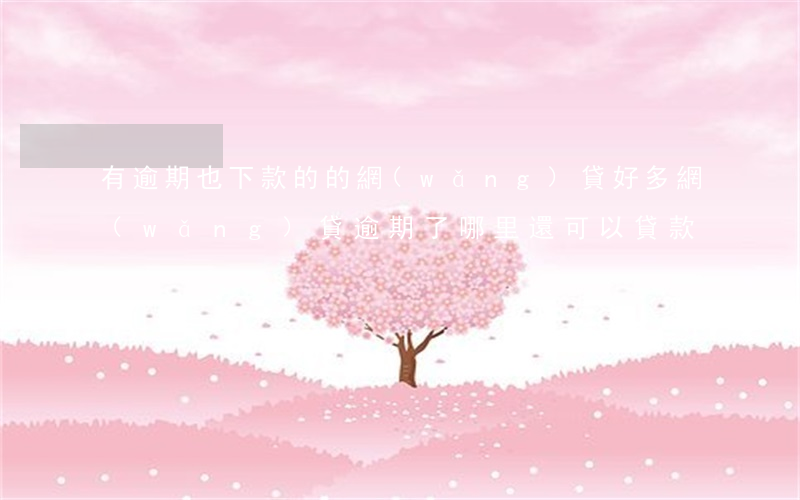 有逾期也下款的的網(wǎng)貸(好多網(wǎng)貸逾期了,哪里還可以貸款)