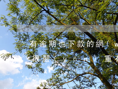 有逾期也下款的網(wǎng)貸口子(逾期很嚴(yán)重,有什么網(wǎng)貸可以放款)