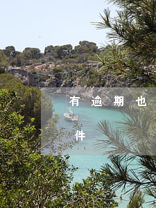 有逾期也可以貸款的軟件（信用卡逾期貸款軟件）