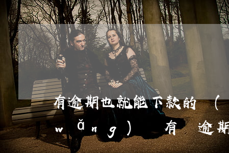 有逾期也就能下款的網(wǎng)貸(網(wǎng)貸有過逾期還能下款的網(wǎng)貸)