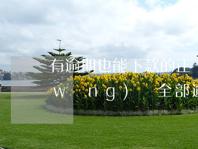有逾期也能下款的正網(wǎng)貸(網(wǎng)貸全部逾期哪里還可以下款)