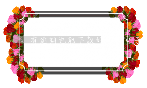 有逾期也能下款的黑戶口子(黑戶嚴(yán)重逾期有口子下的嗎)