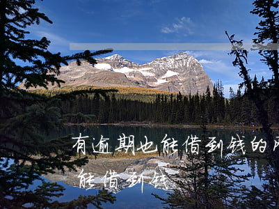 有逾期也能借到钱的网贷(网贷逾期了哪里还能借到钱)