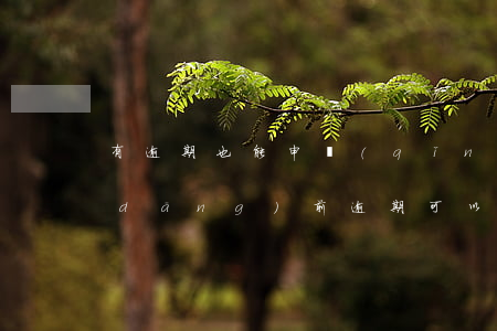 有逾期也能申請(qǐng)的信用卡（當(dāng)前逾期可以申請(qǐng)信用卡么）