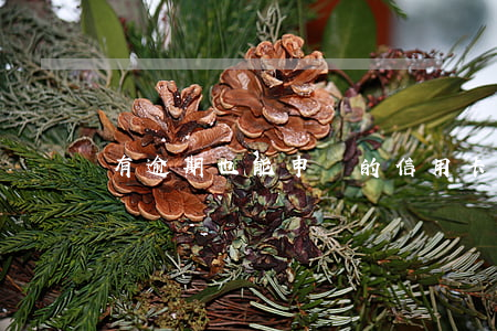 有逾期也能申請的信用卡怎么辦