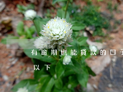 有逾期也能貸款的口子(逾期了那個口子還可以下)