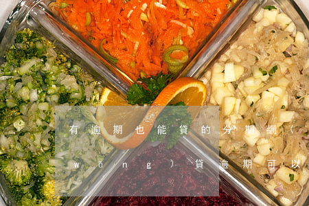 有逾期也能貸的分期網(wǎng)貸(網(wǎng)貸逾期可以貸款嗎)