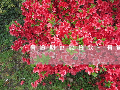 有逾期也能贷款-有逾期也能贷款买房吗