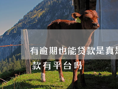 有逾期也能贷款是真是假(现在有逾期可以贷款有平台吗?)