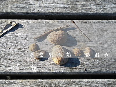 有逾期也能辦信用卡嗎 有逾期信用卡可以辦理嗎
