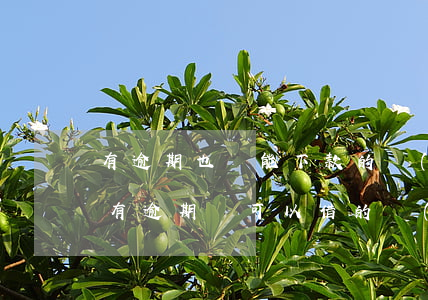 有逾期也還能下款的網(wǎng)貸(當前有逾期還可以借的網(wǎng)貸有沒有?)