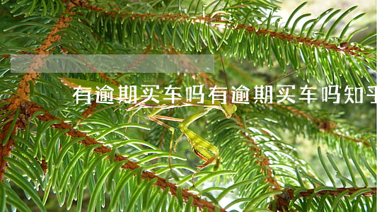 有逾期买车吗(有逾期买车吗知乎)