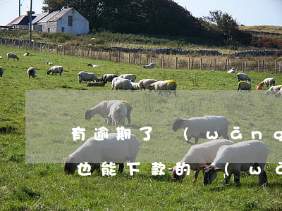 有逾期了網(wǎng)貸都不能貸(有逾期也能下款的網(wǎng)貸)