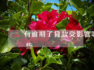 有逾期了貸款受影響嗎(貸款逾期的后果有哪些)
