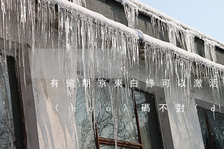 有逾期京東白條可以激活碼(激活京東白條號(hào)碼不對(duì)怎么辦)